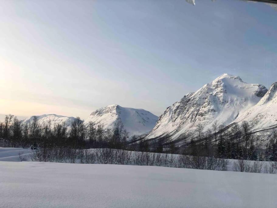 Mountainside Lodge - Breivikeidet Tromso Exterior photo