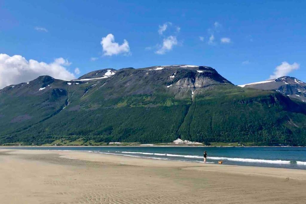 Mountainside Lodge - Breivikeidet Tromso Exterior photo