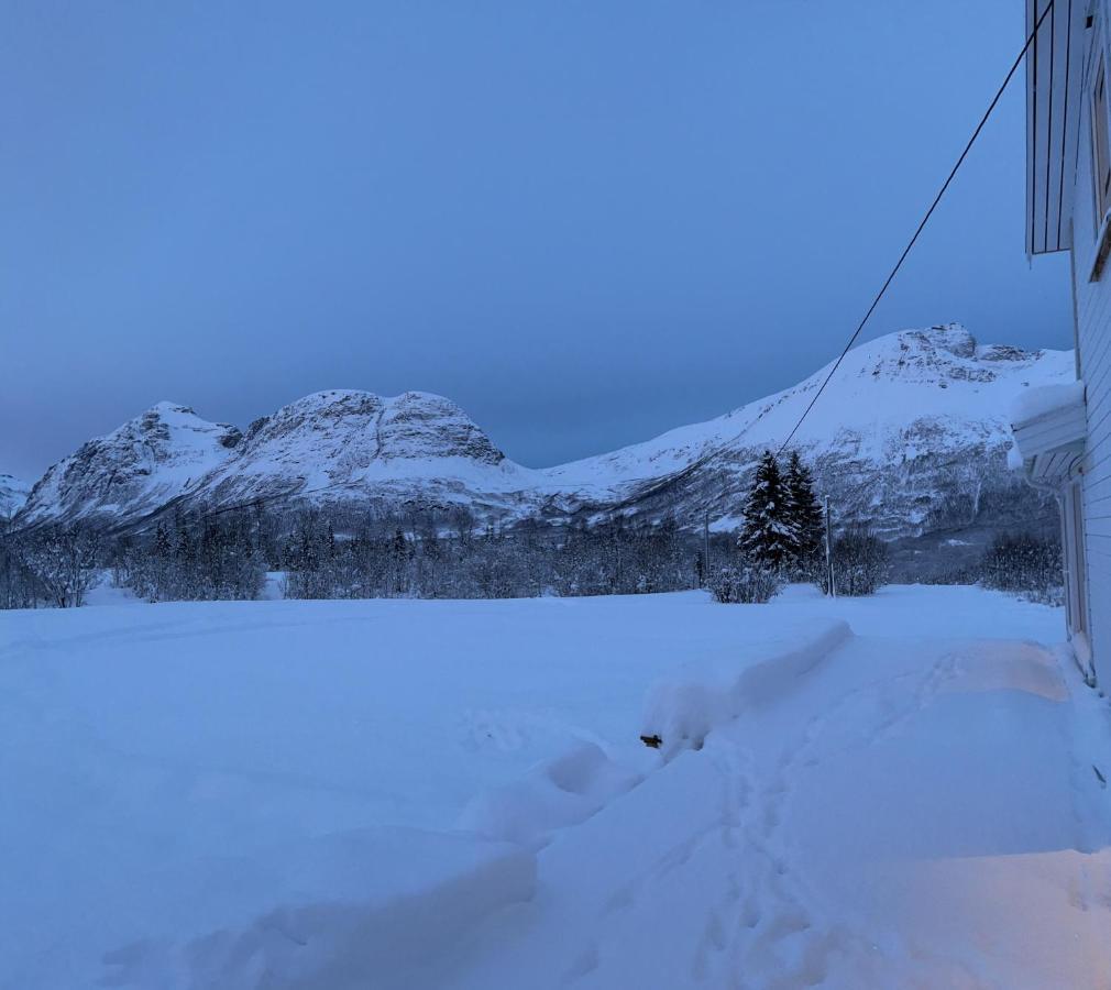 Mountainside Lodge - Breivikeidet Tromso Exterior photo