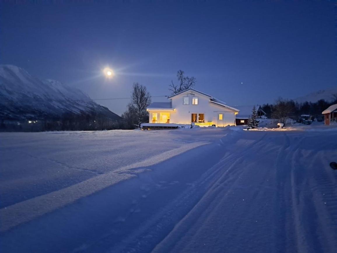 Mountainside Lodge - Breivikeidet Tromso Exterior photo